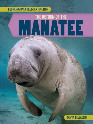 cover image of The Return of the Manatee